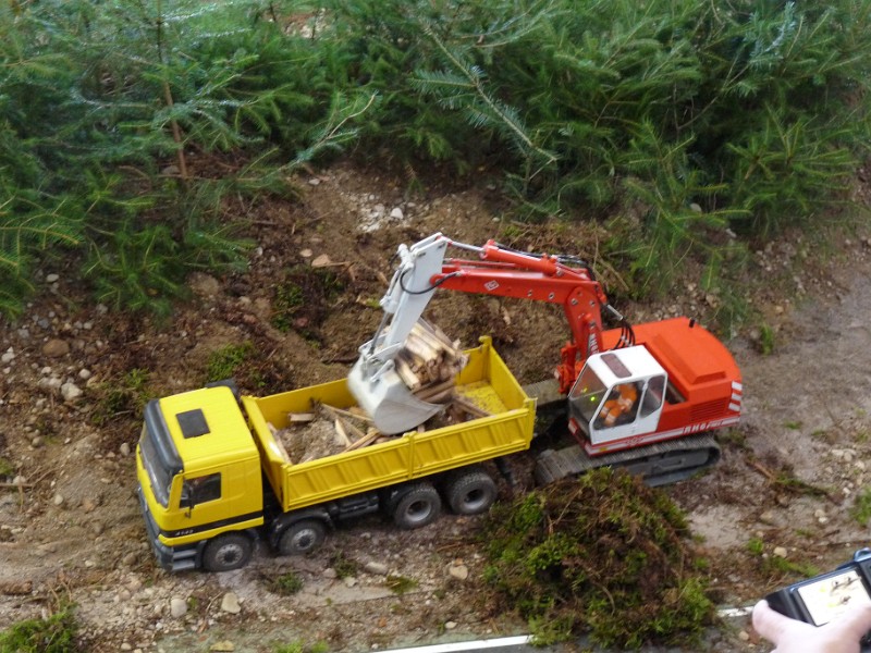 21.JPG - Hier wird abgeholzt